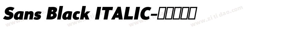 Sans Black ITALIC字体转换
